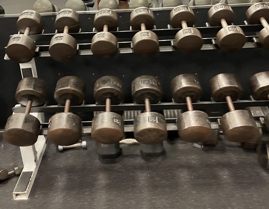 Dumbbells at Gym